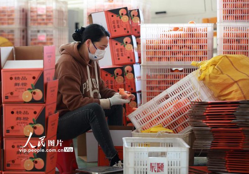 企业采购的那些隐秘雷区：避免误区，提升效率
